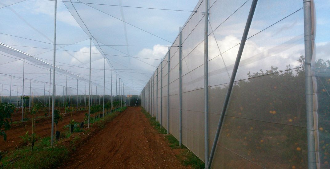 cortavientos de mallas